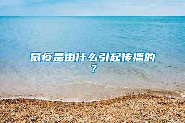 鼠疫是由什么引起傳播的？