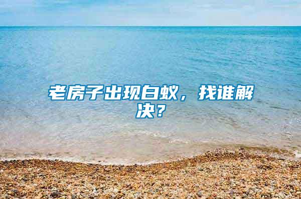 老房子出現(xiàn)白蟻，找誰(shuí)解決？