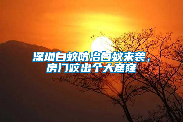 深圳白蟻防治白蟻來襲，房門咬出個(gè)大窟窿