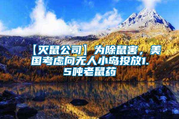 【滅鼠公司】為除鼠害，美國考慮向無人小島投放1.5噸老鼠藥