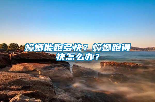 蟑螂能跑多快？蟑螂跑得快怎么辦？