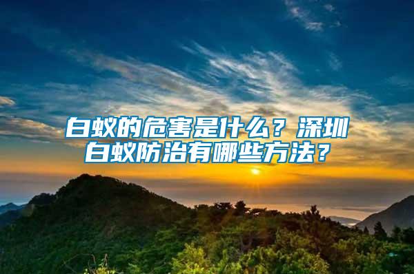 白蟻的危害是什么？深圳白蟻防治有哪些方法？