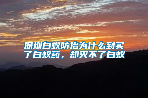 深圳白蟻防治為什么到買了白蟻藥，卻滅不了白蟻