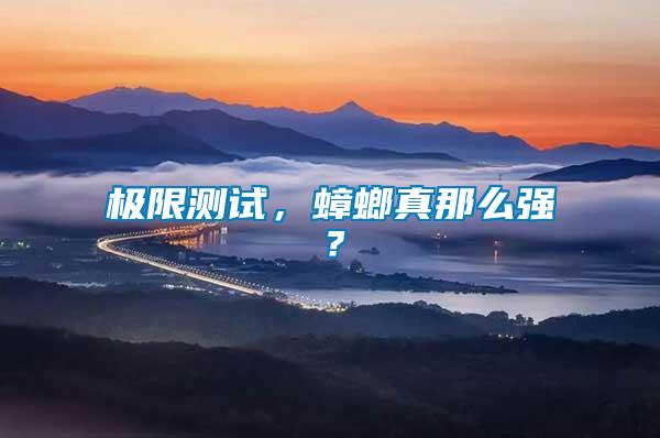 極限測(cè)試，蟑螂真那么強(qiáng)？