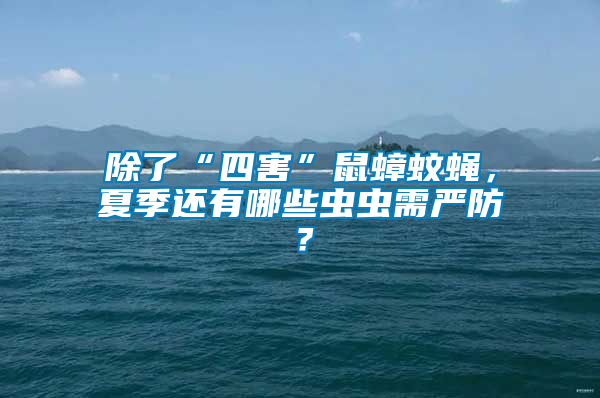 除了“四害”鼠蟑蚊蠅，夏季還有哪些蟲蟲需嚴(yán)防？