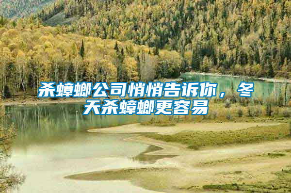 殺蟑螂公司悄悄告訴你，冬天殺蟑螂更容易