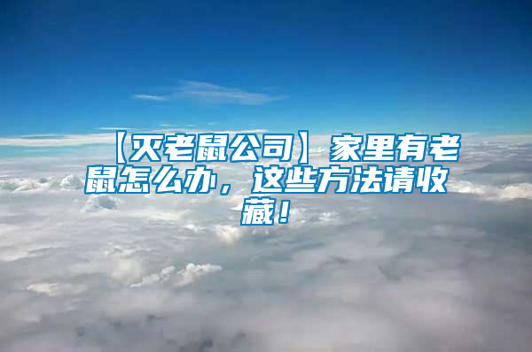【滅老鼠公司】家里有老鼠怎么辦，這些方法請收藏！