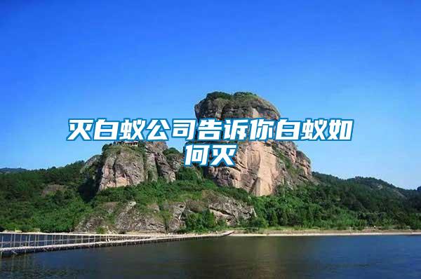 滅白蟻公司告訴你白蟻如何滅
