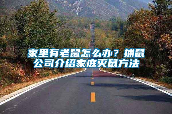 家里有老鼠怎么辦？捕鼠公司介紹家庭滅鼠方法