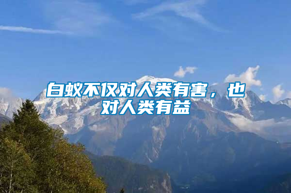 白蟻不僅對(duì)人類(lèi)有害，也對(duì)人類(lèi)有益