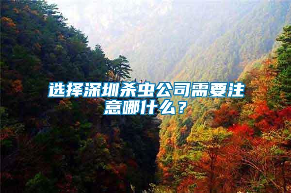 選擇深圳殺蟲(chóng)公司需要注意哪什么？
