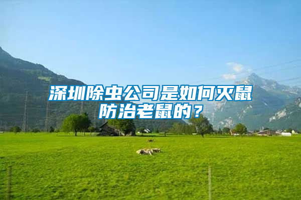 深圳除蟲公司是如何滅鼠防治老鼠的？
