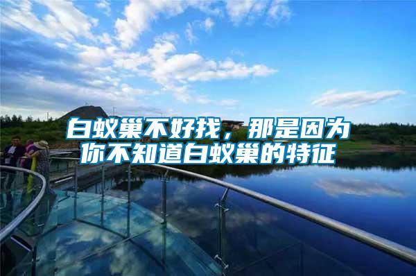 白蟻巢不好找，那是因?yàn)槟悴恢腊紫伋驳奶卣?/></p>
             <p style=