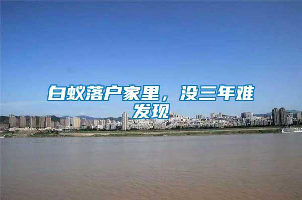 白蟻落戶家里，沒三年難發(fā)現(xiàn)