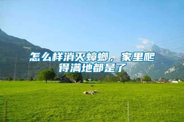 怎么樣消滅蟑螂，家里爬得滿地都是了