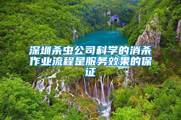 深圳殺蟲公司科學(xué)的消殺作業(yè)流程是服務(wù)效果的保證