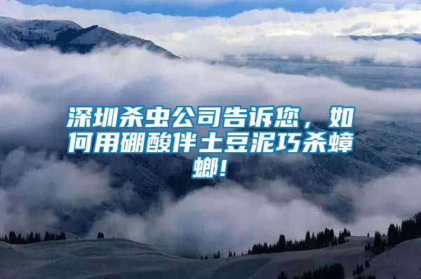 深圳殺蟲公司告訴您，如何用硼酸伴土豆泥巧殺蟑螂!