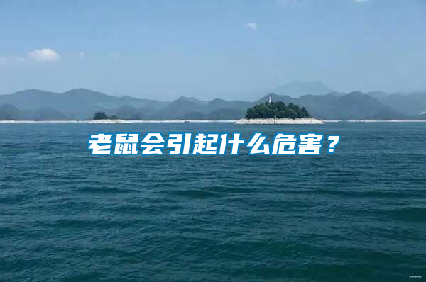 老鼠會(huì)引起什么危害？