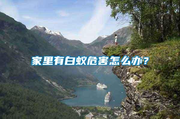 家里有白蟻危害怎么辦？