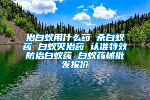 治白蟻用什么藥 殺白蟻藥 白蟻滅治藥 認(rèn)準(zhǔn)特效防治白蟻藥 白蟻藥械批發(fā)報價