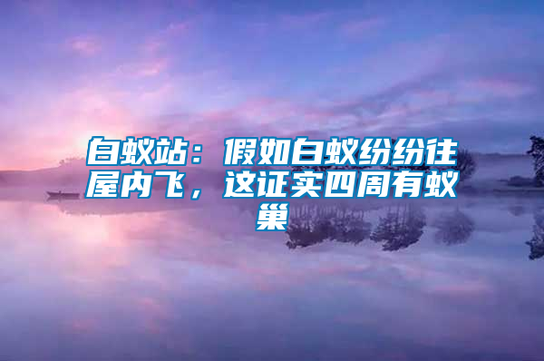 白蟻站：假如白蟻紛紛往屋內飛，這證實四周有蟻巢