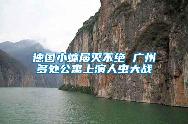 德國(guó)小蠊屢滅不絕 廣州多處公寓上演人蟲(chóng)大戰(zhàn)