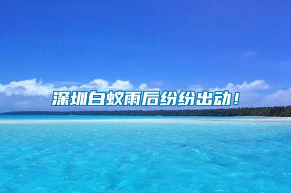 深圳白蟻雨后紛紛出動(dòng)！