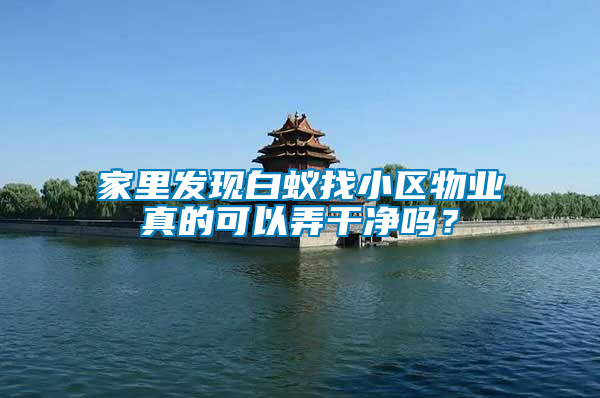 家里發(fā)現(xiàn)白蟻找小區(qū)物業(yè)真的可以弄干凈嗎？