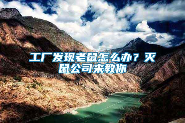 工廠發(fā)現(xiàn)老鼠怎么辦？滅鼠公司來教你
