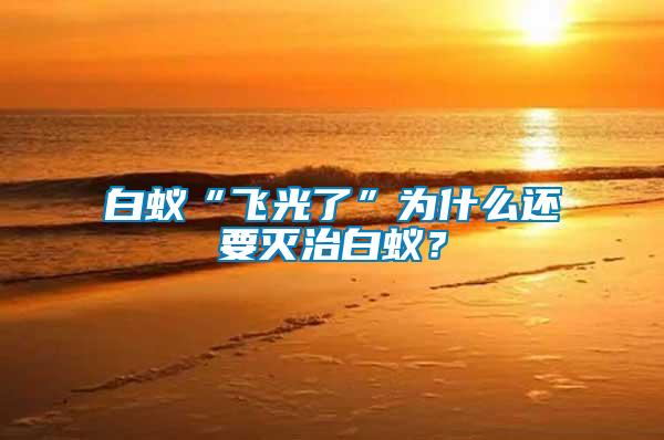 白蟻“飛光了”為什么還要滅治白蟻？