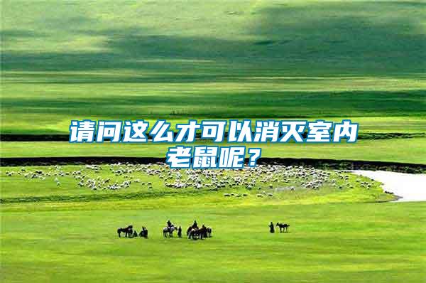 請(qǐng)問(wèn)這么才可以消滅室內(nèi)老鼠呢？