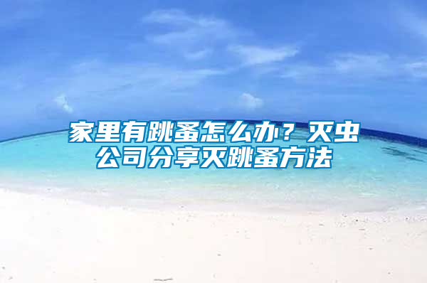 家里有跳蚤怎么辦？滅蟲(chóng)公司分享滅跳蚤方法
