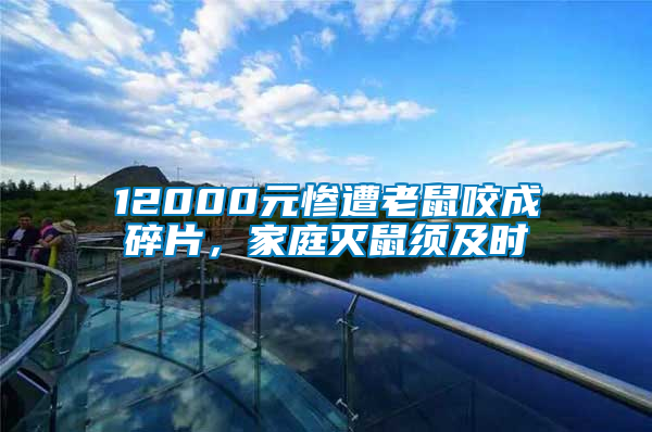 12000元慘遭老鼠咬成碎片，家庭滅鼠須及時