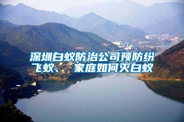 深圳白蟻防治公司預(yù)防紛飛蟻、 家庭如何滅白蟻