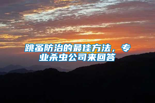 跳蚤防治的最佳方法，專業(yè)殺蟲公司來回答