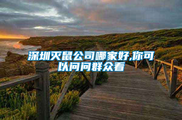 深圳滅鼠公司哪家好,你可以問(wèn)問(wèn)群眾看