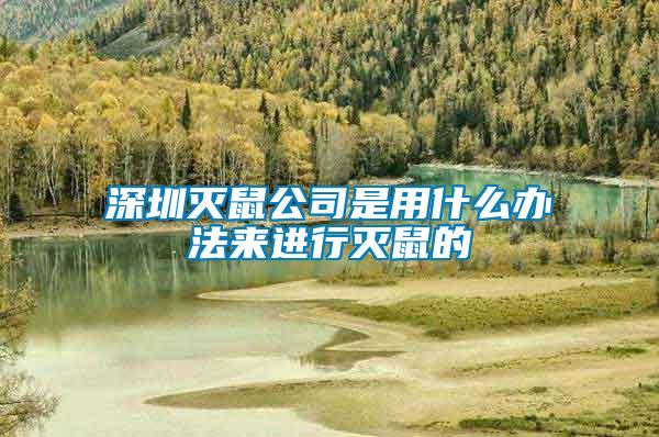 深圳滅鼠公司是用什么辦法來(lái)進(jìn)行滅鼠的