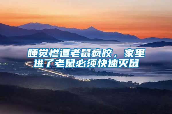 睡覺慘遭老鼠瘋咬，家里進了老鼠必須快速滅鼠