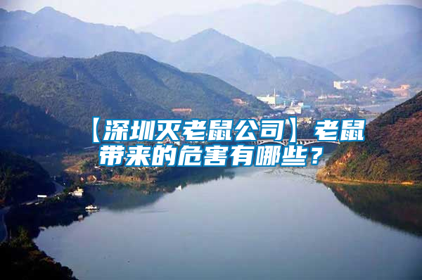 【深圳滅老鼠公司】老鼠帶來的危害有哪些？