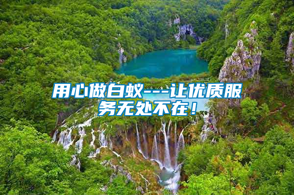 用心做白蟻---讓優(yōu)質(zhì)服務(wù)無處不在！