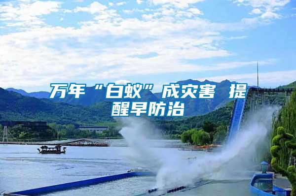萬年“白蟻”成災(zāi)害 提醒早防治