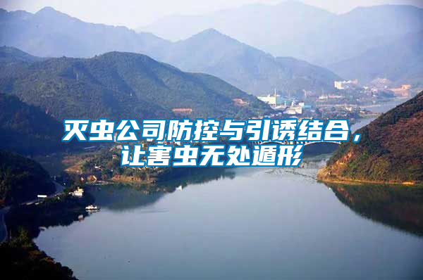 滅蟲公司防控與引誘結(jié)合，讓害蟲無處遁形
