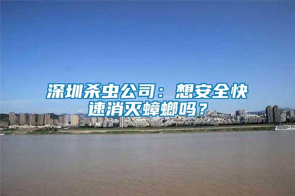 深圳殺蟲公司：想安全快速消滅蟑螂嗎？