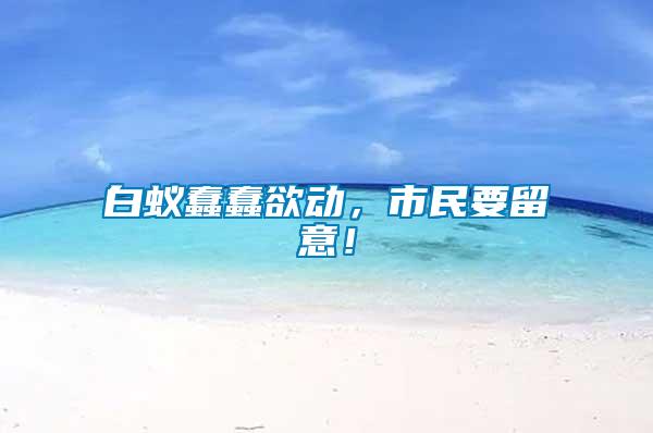 白蟻蠢蠢欲動，市民要留意！