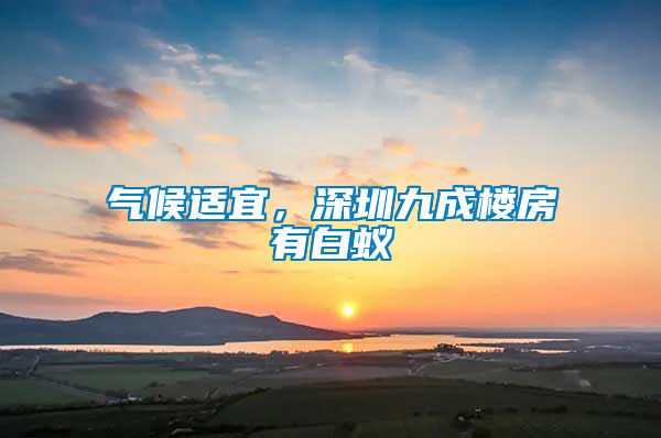 氣候適宜，深圳九成樓房有白蟻