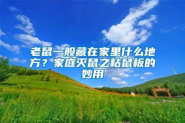 老鼠一般藏在家里什么地方？家庭滅鼠之粘鼠板的妙用