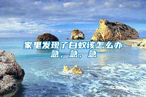 家里發(fā)現(xiàn)了白蟻該怎么辦急，急，急