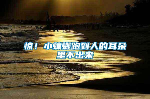 驚！小蟑螂跑到人的耳朵里不出來(lái)