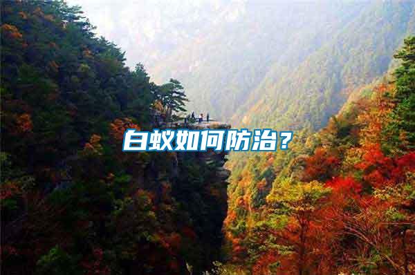 白蟻如何防治？