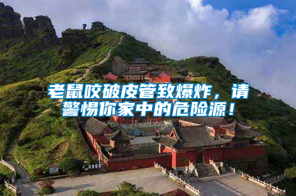 老鼠咬破皮管致爆炸，請警惕你家中的危險源！